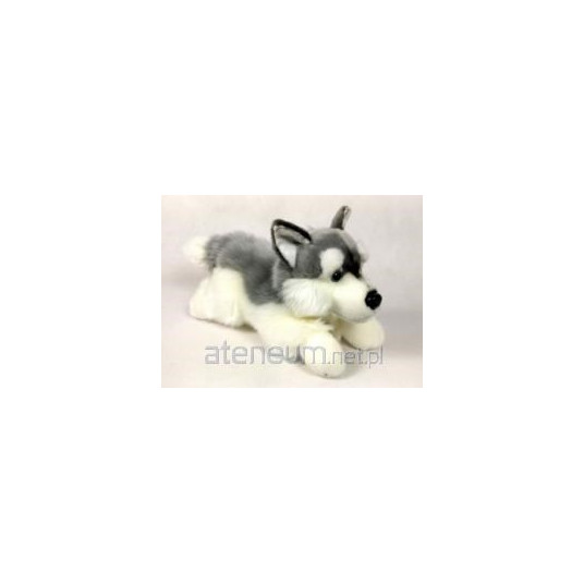 Husky koira 30cm 02882