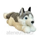 Husky koira 42cm 32041
