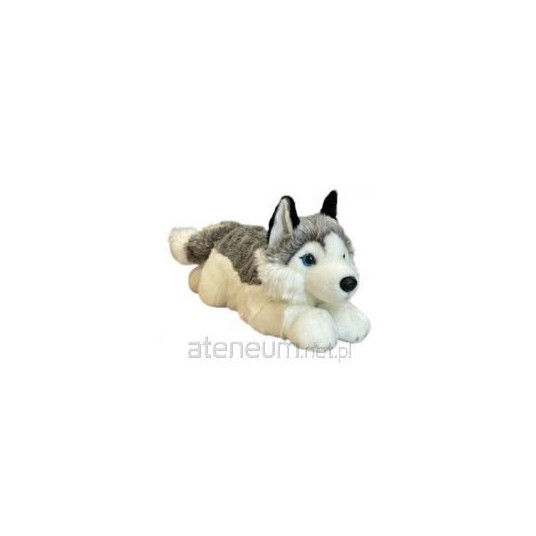 Husky koira 42cm 32041