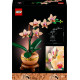 LEGO® 10343 Botanicals Mini orkidea