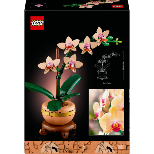 LEGO® 10343 Botanicals Mini orkidea