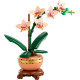 LEGO® 10343 Botanicals Mini orkidea