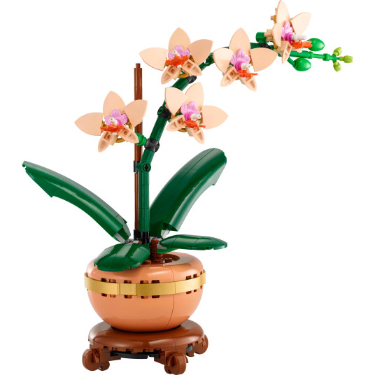 LEGO® 10343 Botanicals Mini orkidea