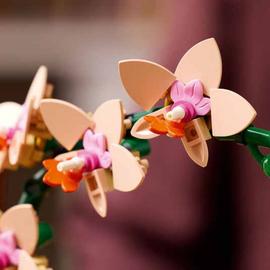 LEGO® 10343 Botanicals Mini orkidea