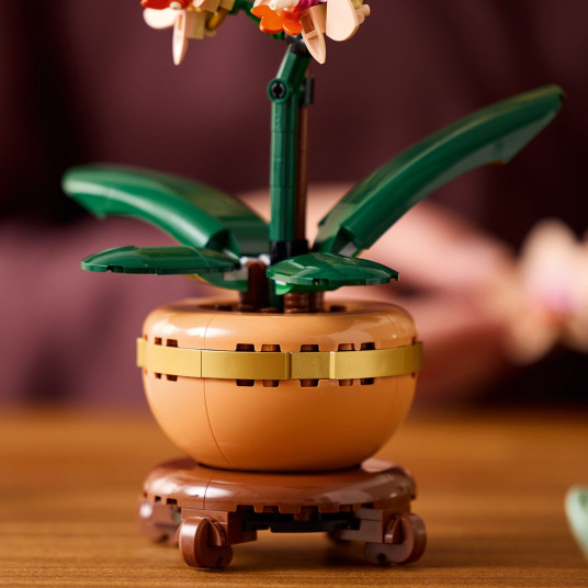 LEGO® 10343 Botanicals Mini orkidea