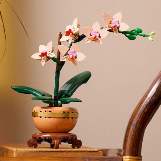 LEGO® 10343 Botanicals Mini orkidea