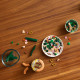 LEGO® 10343 Botanicals Mini orkidea