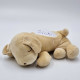 WOOPIE Snuggle Projector 2in1 koiran makuupussi