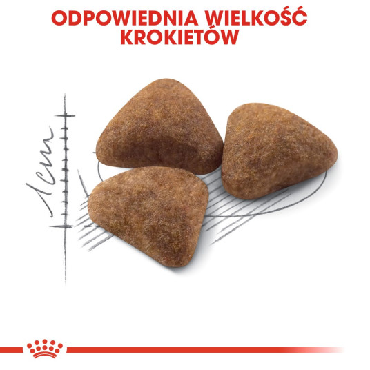 ROYAL CANIN Indoor 27 - kissan kuivaruoka - 2 kg